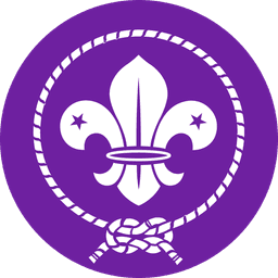 World Scout Emblem